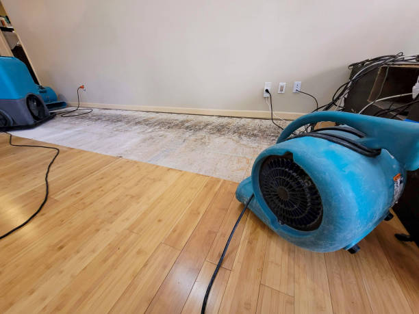 Professional Water Damage Repair technician working in Zion, PA